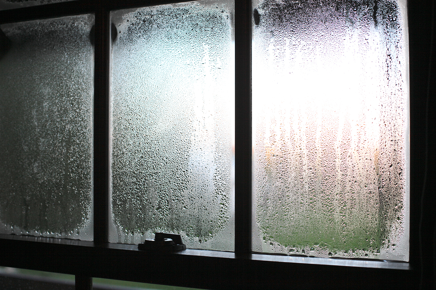 A close-up of window condensation, with water droplets clinging to the glass panes. Sunlight filters through the cloudy surface, casting a soft glow. A latch is visible at the bottom of the window.