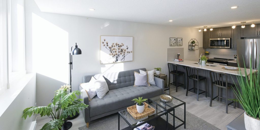 Bright modern living room with gray sofa, indoor plants, art on the wall, and an adjacent kitchen with barstools, stainless steel appliances, and minimalist decor. Sunlight fills the space through large windows—an inviting example of comfortable living in today’s net zero homes designed for sustainability and style.