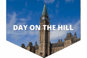 day on the hill