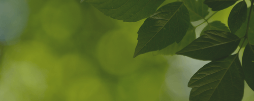 Environmentally Responsible