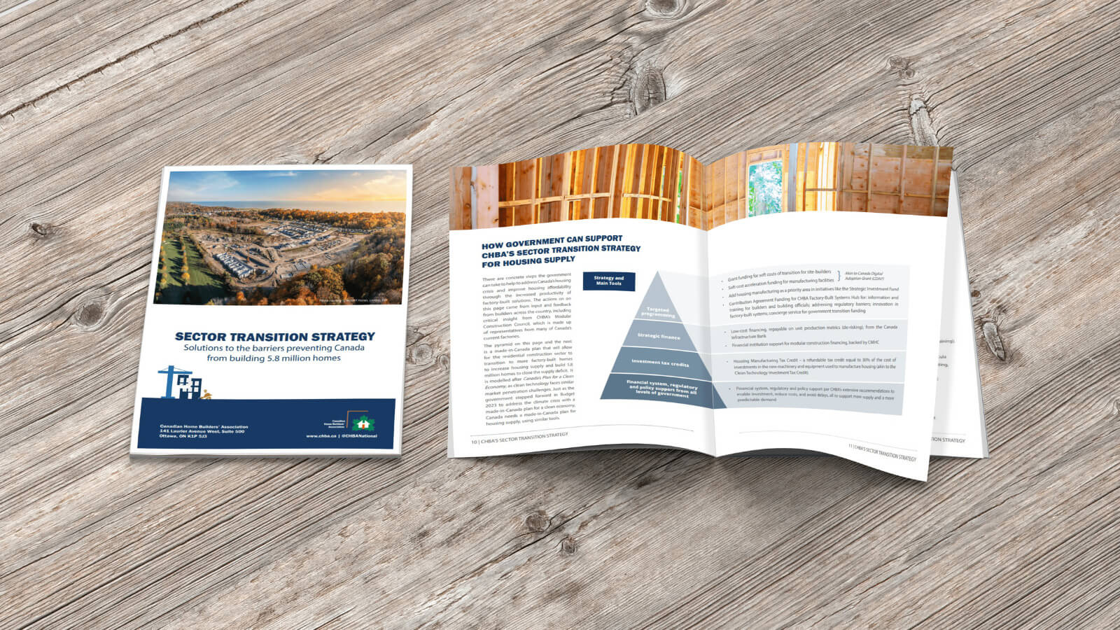 Sector Transition Strategy Cover