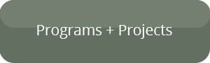 programs projects